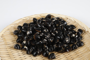 宍道湖産大和しじみ（活）Ｌサイズ　１ｋｇ