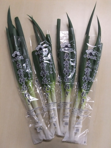 出雲神在ねぎ　１袋３３０ｇ
